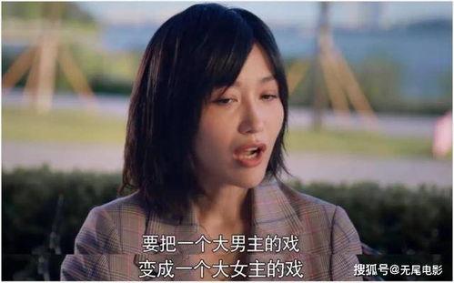 秦岚带你吃瓜娱乐圈,一场别开生面的“吃瓜”之旅